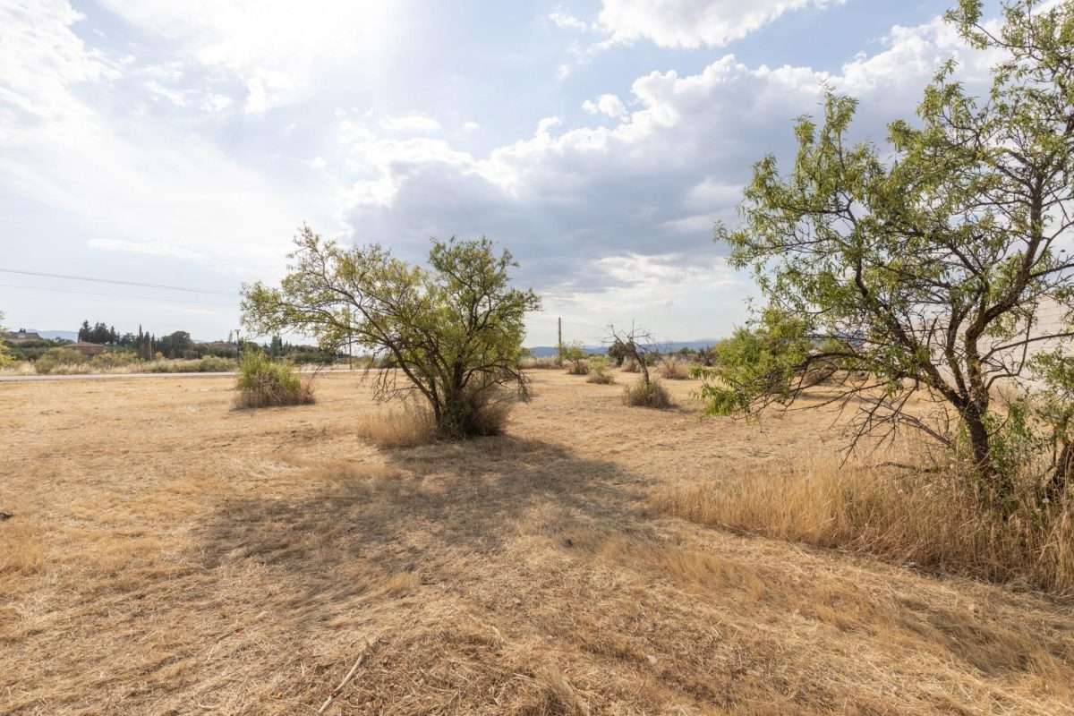 Terreno rural en venta en GRANADA
