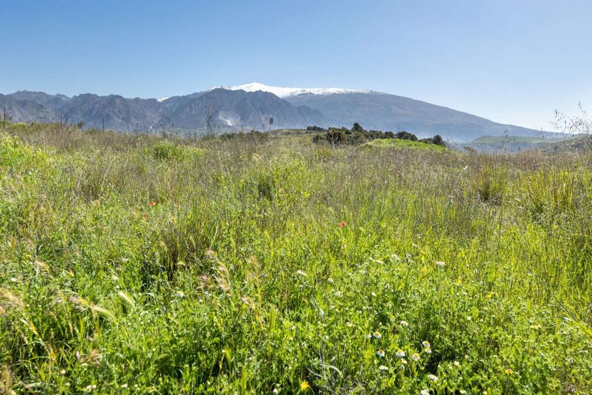 Terreno rural en venta en GRANADA