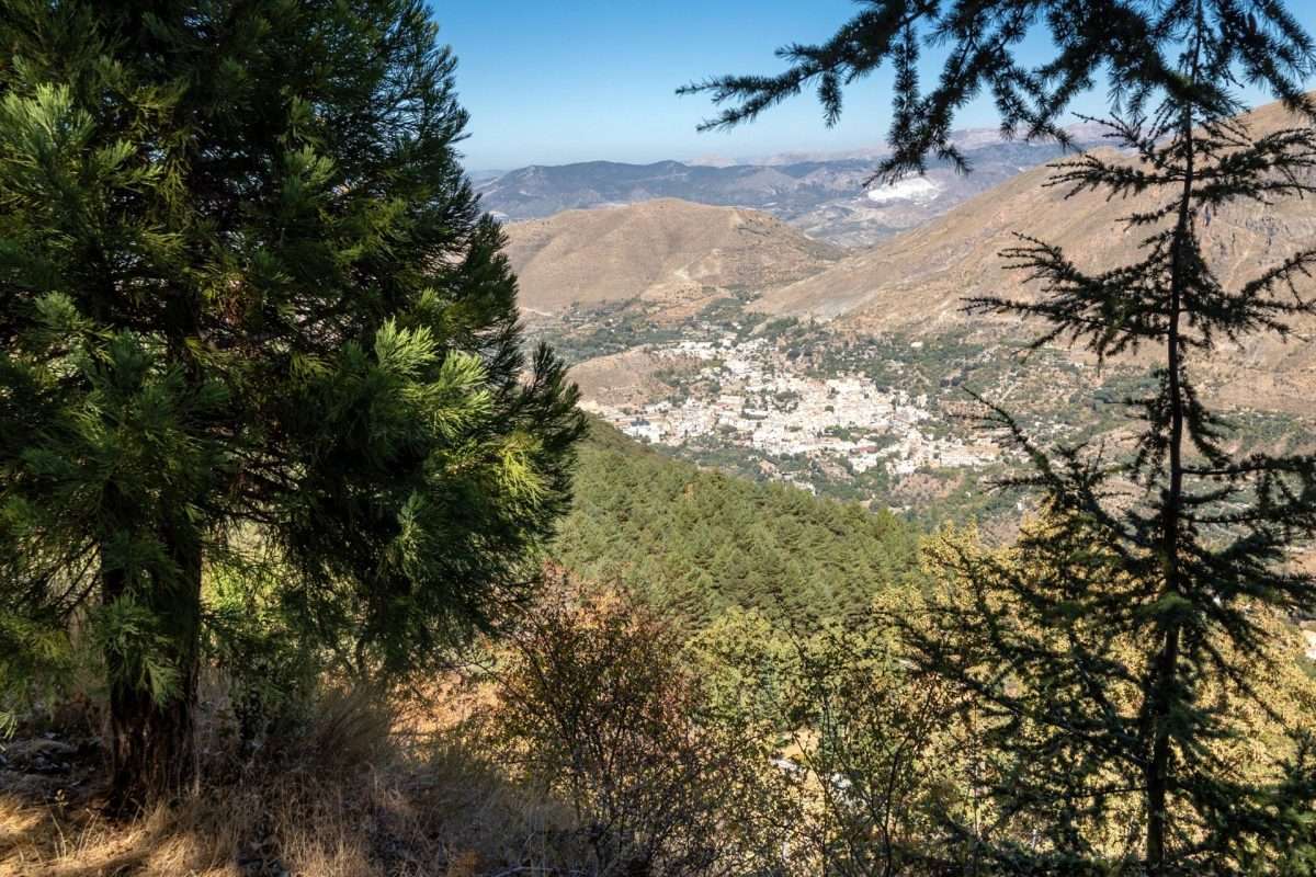 Casa con terreno en venta en GRANADA