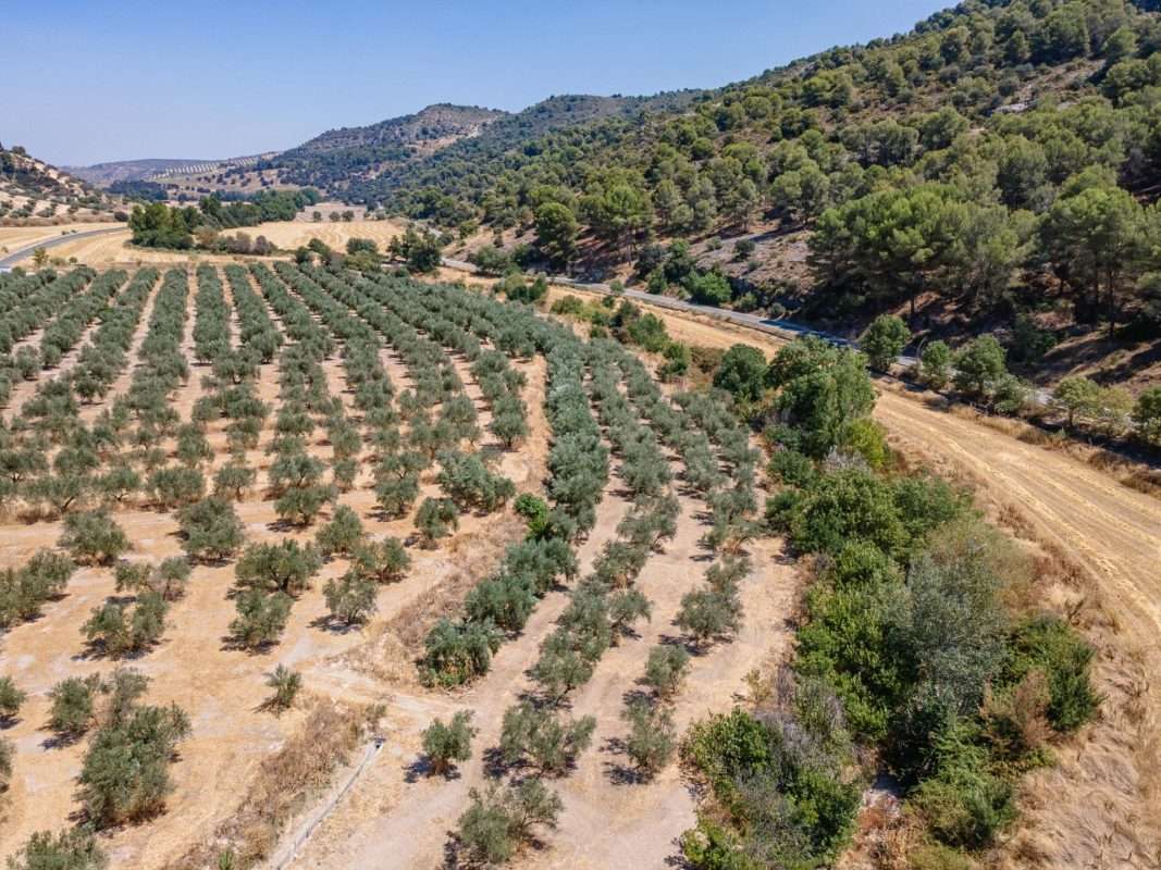 Terreno rural en venta en GRANADA