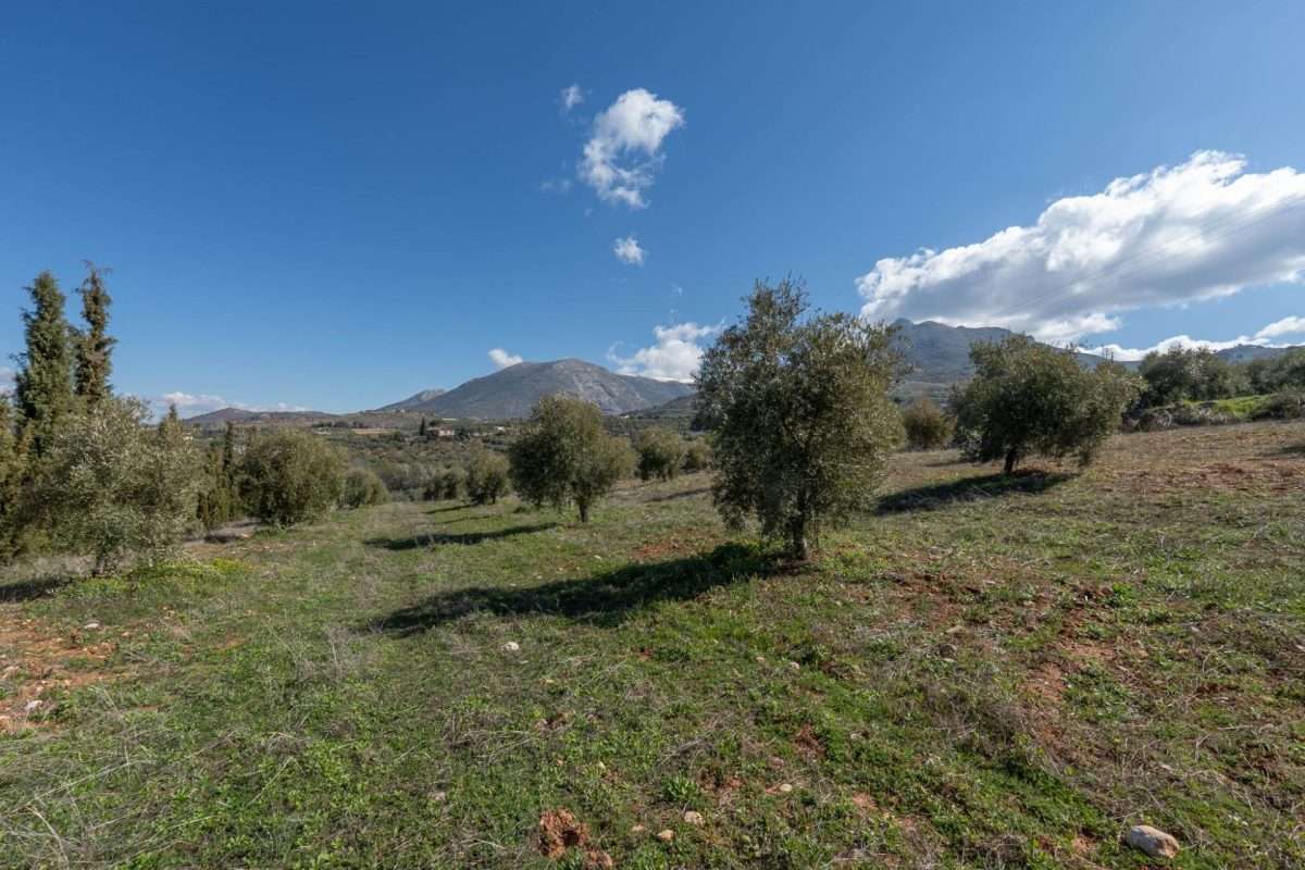 Terreno rural en venta en GRANADA