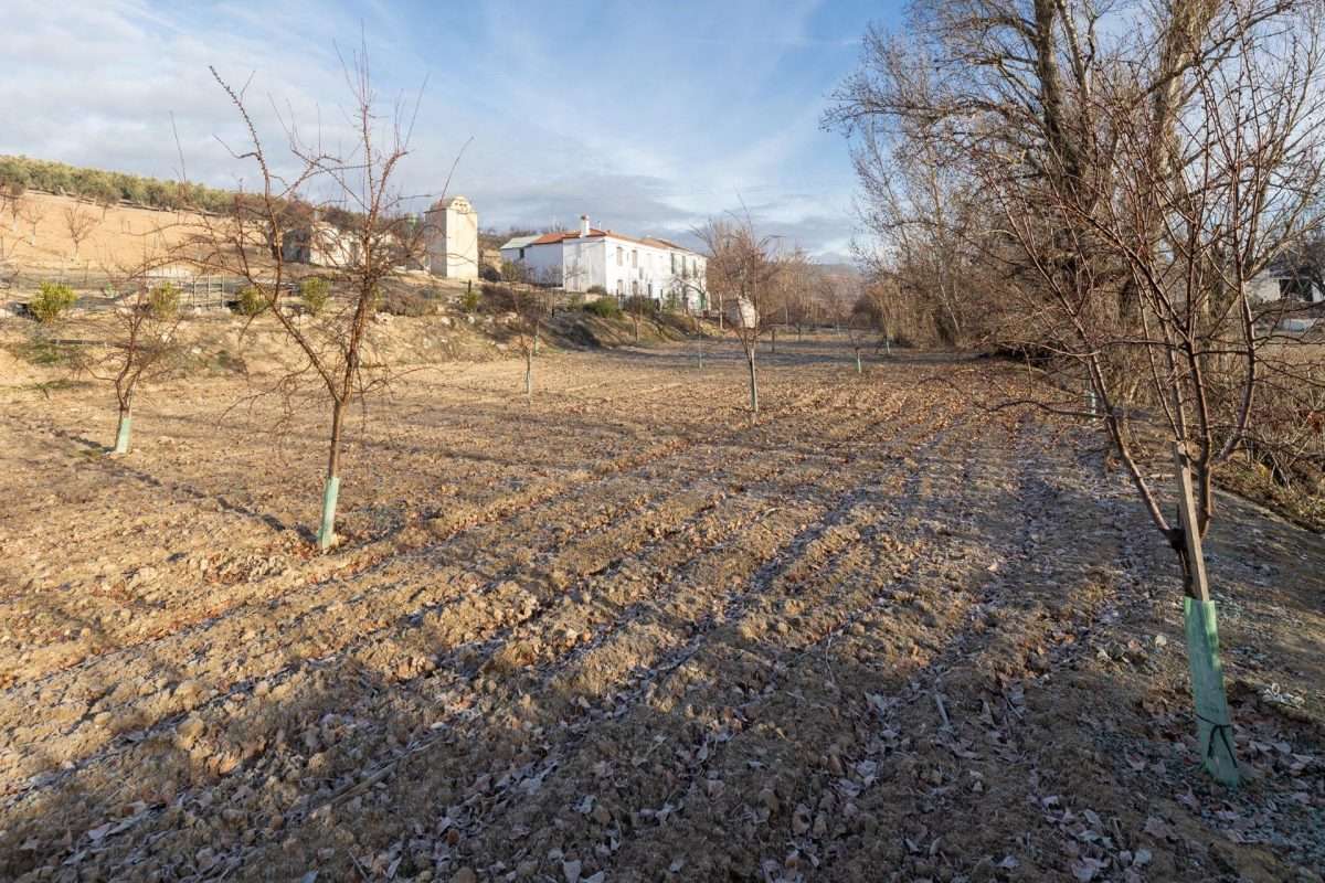 Cortijo en venta en GRANADA