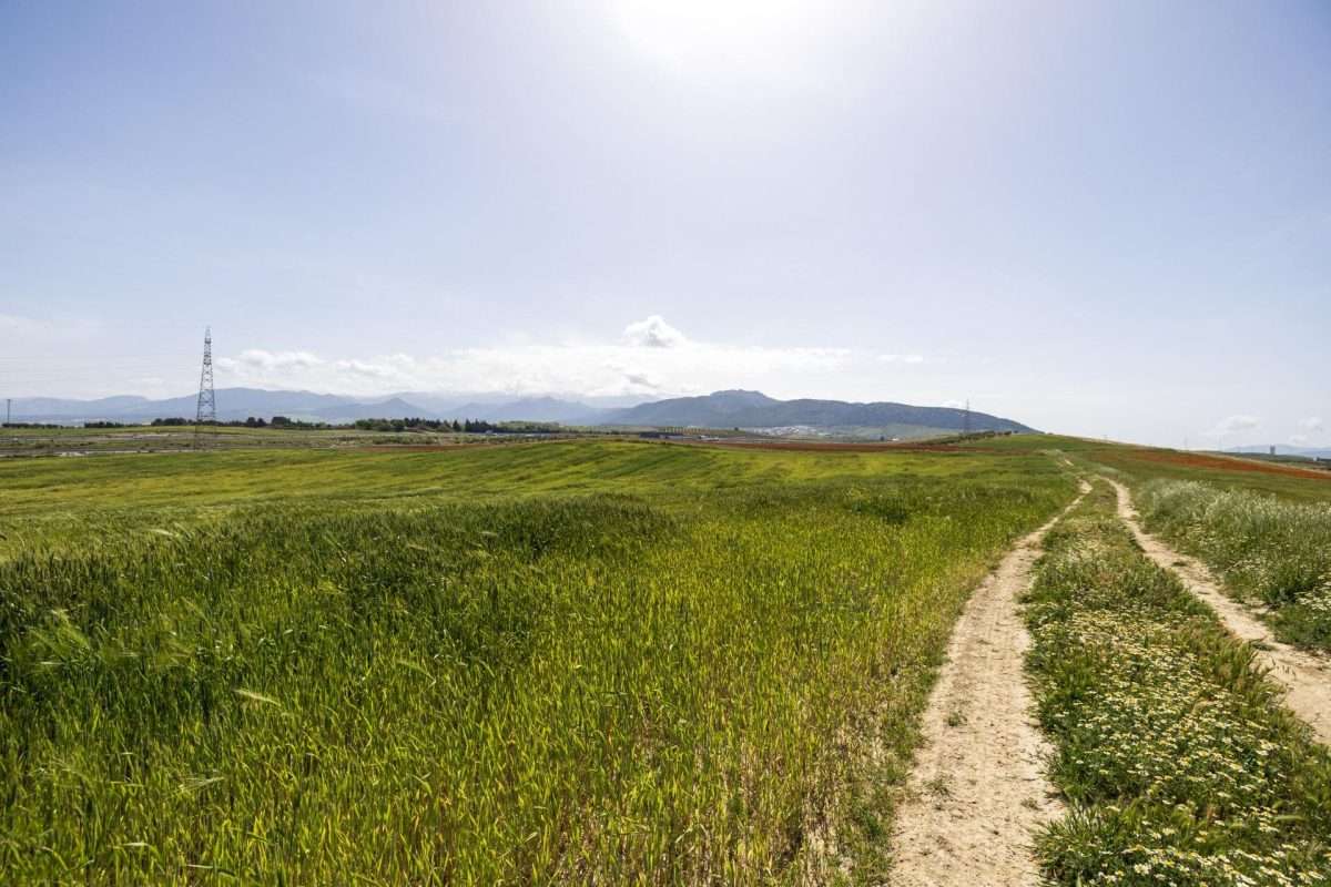 Terreno rural en venta en GRANADA